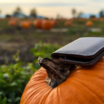 Men's leather bifold wallet on a pumpkin